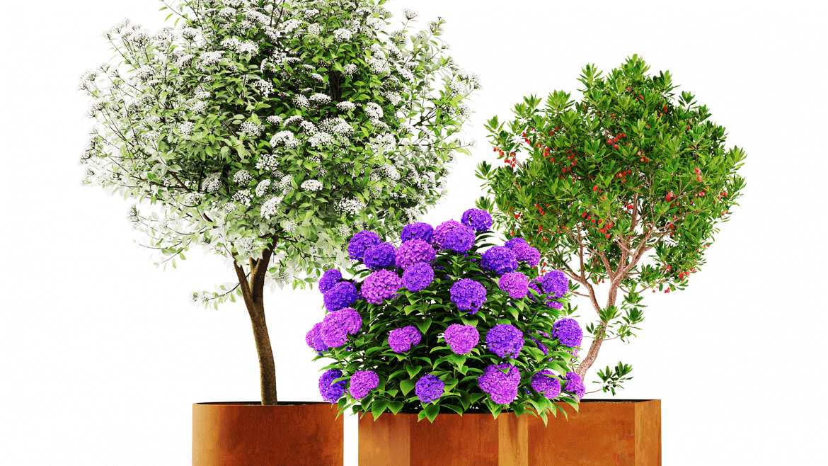 Large Pots