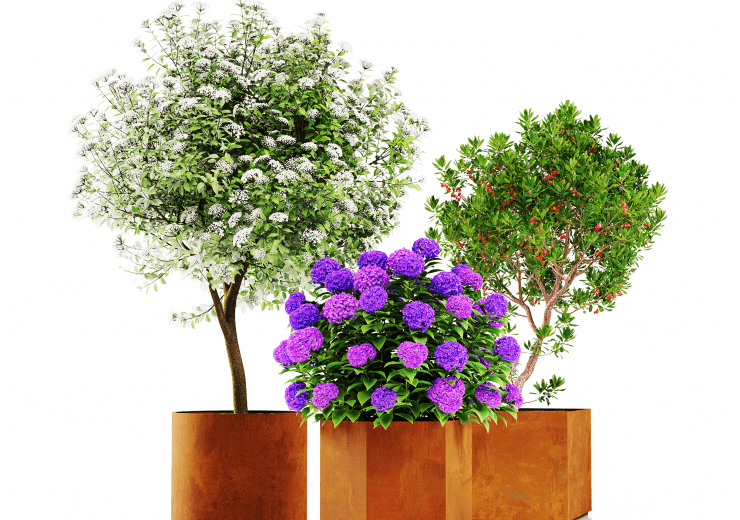 Large Pots